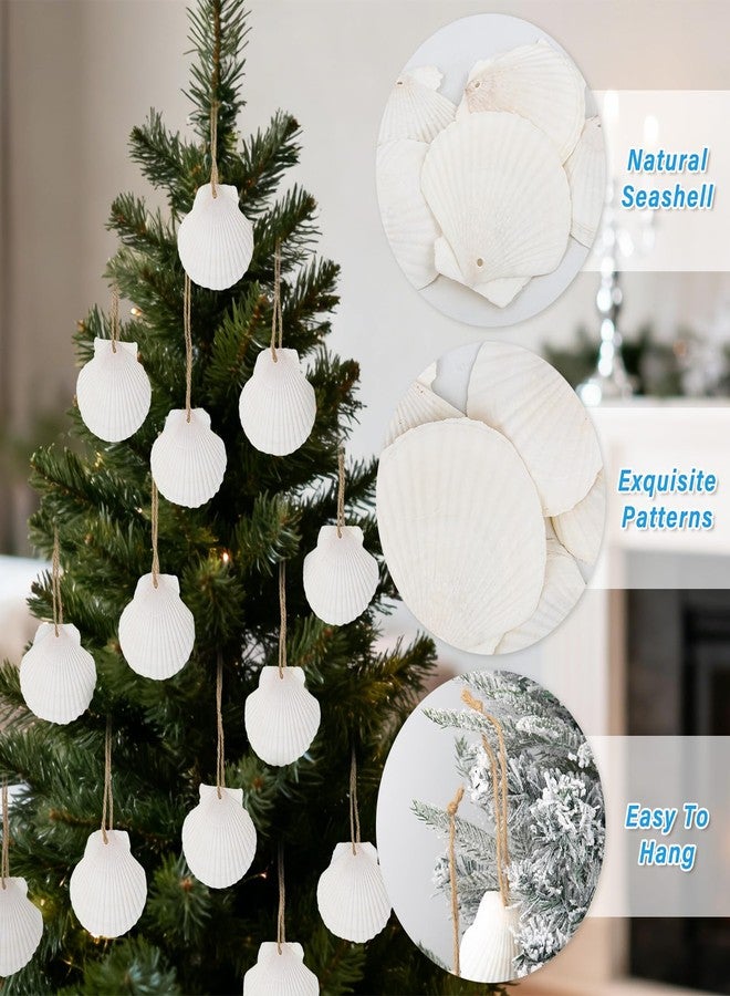 SINKOO 16PCS Natural Sea Shells 2.5"-3.5" Perforation Scallop Shells with Rope,for Christmas Tree Ornaments & DIY Hanging Home Deocration Craft Shells - Image 4