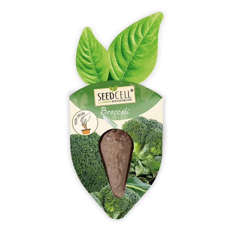 VegTrug Vegtrug Seed Pods Kit - Vegetable Patch, Non-GMO Seeds with Fully Biodegradable Seed Pods, Contains Seeds of Broccoli, Zucchini, Pumpkin, and Butternut Squash, Pack of 1  - Image 3