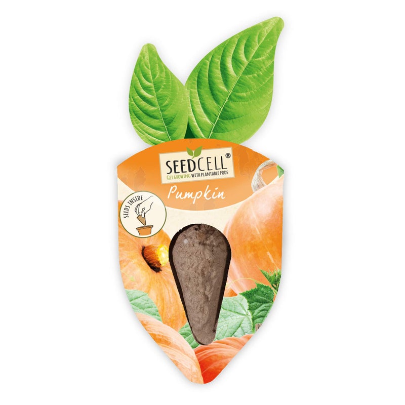VegTrug Vegtrug Seed Pods Kit - Vegetable Patch, Non-GMO Seeds with Fully Biodegradable Seed Pods, Contains Seeds of Broccoli, Zucchini, Pumpkin, and Butternut Squash, Pack of 1  - Image 5