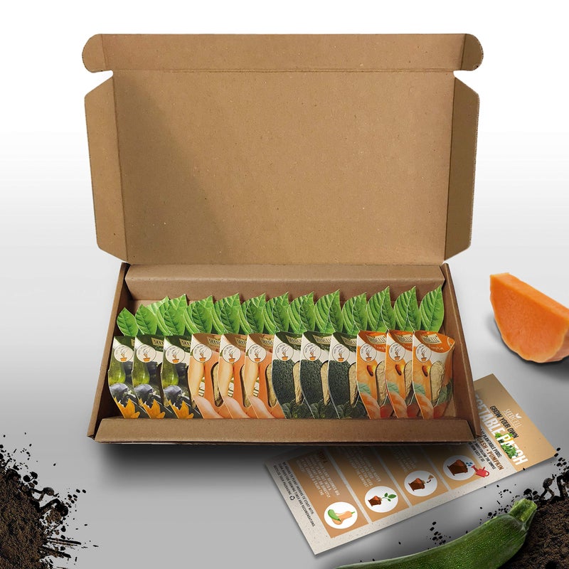VegTrug Vegtrug Seed Pods Kit - Vegetable Patch, Non-GMO Seeds with Fully Biodegradable Seed Pods, Contains Seeds of Broccoli, Zucchini, Pumpkin, and Butternut Squash, Pack of 1  - Image 1
