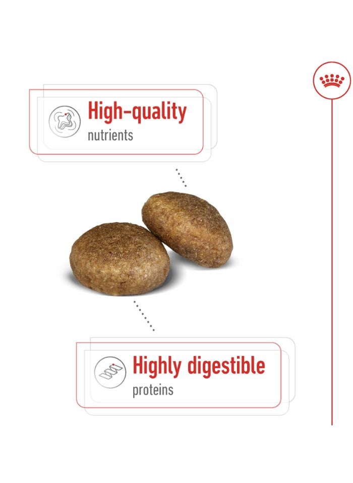 ROYAL CANIN حجم صحة التغذية ماكسي بالغ 15 كجم - Image 2