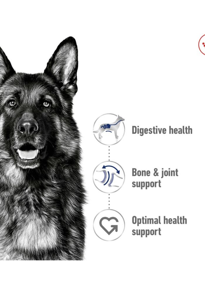 ROYAL CANIN حجم صحة التغذية ماكسي بالغ 15 كجم - Image 3