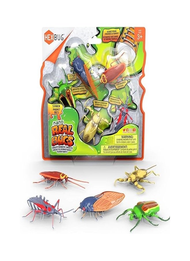 SPIN MASTER SPIN MASTER - Nano Real Bugs 5 pack  - Image 1