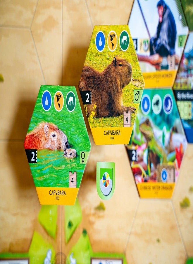 Capstone Games Sanctuary Board Game – Strategy Tile Drafting Game for 1-5 Players, Animal Themed Zoo Simulation, Hand Management, Perfect for Adults & Family Game Nights, Solo Play | 60-90 Minutes - Image 4