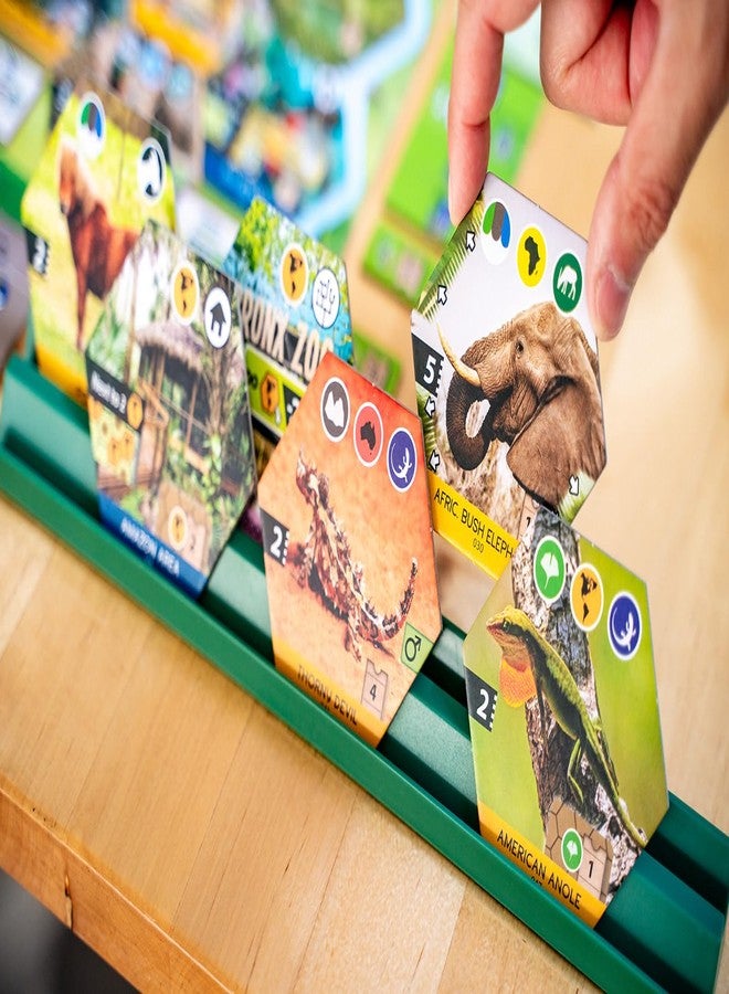 Capstone Games Sanctuary Board Game – Strategy Tile Drafting Game for 1-5 Players, Animal Themed Zoo Simulation, Hand Management, Perfect for Adults & Family Game Nights, Solo Play | 60-90 Minutes - Image 5