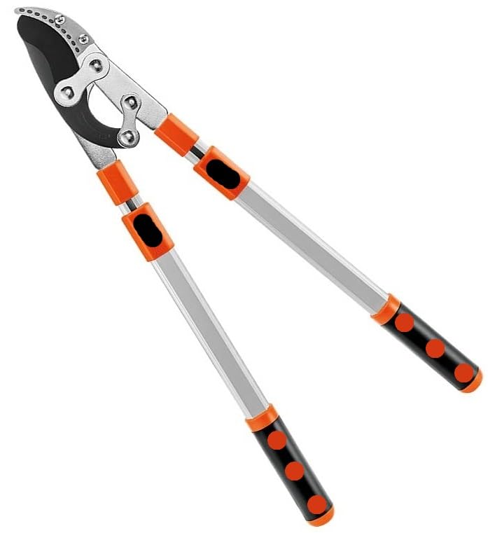 Hetkrishi Professional Ratchet Anvil Lopper| Heavy-Duty Compound Action Cutter | Extendable Handles for Extra Leverage|Garden Pruning Tree Hedge Branch Cutter Garden Lopper (Rachet Looper) - Image 1