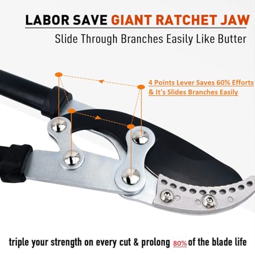 Hetkrishi Professional Ratchet Anvil Lopper| Heavy-Duty Compound Action Cutter | Extendable Handles for Extra Leverage|Garden Pruning Tree Hedge Branch Cutter Garden Lopper (Rachet Looper) - Image 3