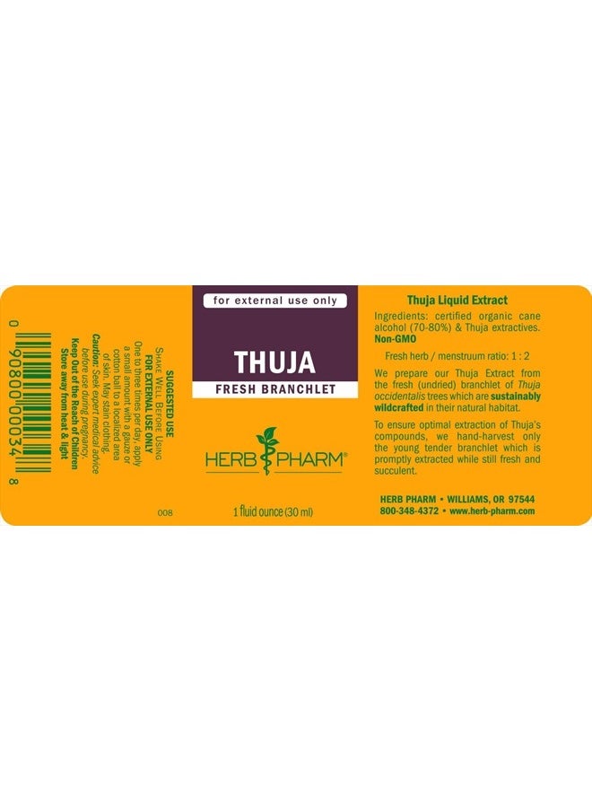 HERB PHARM Thuja Branchlet Liquid Extract - 1 Ounce (DTHUJA01)  - Image 3