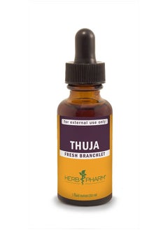 Thuja Branchlet Liquid Extract - 1 Ounce (DTHUJA01)