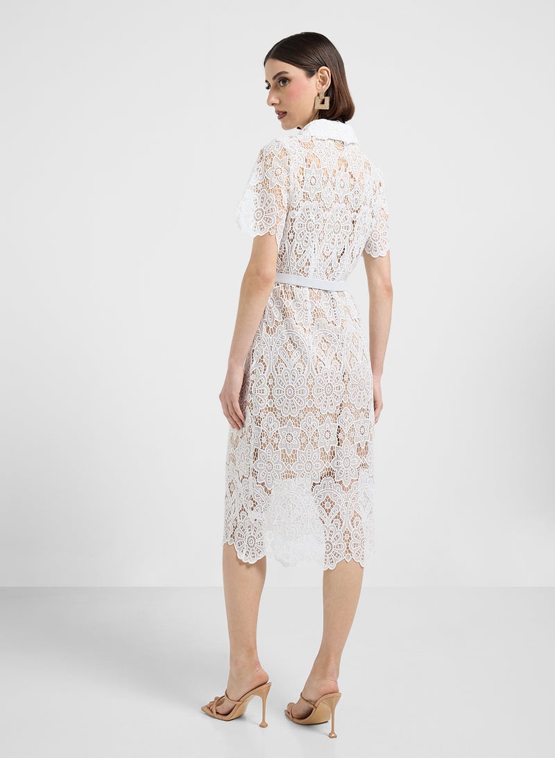 ايلا فستان بحزام دانتيل - Image 2