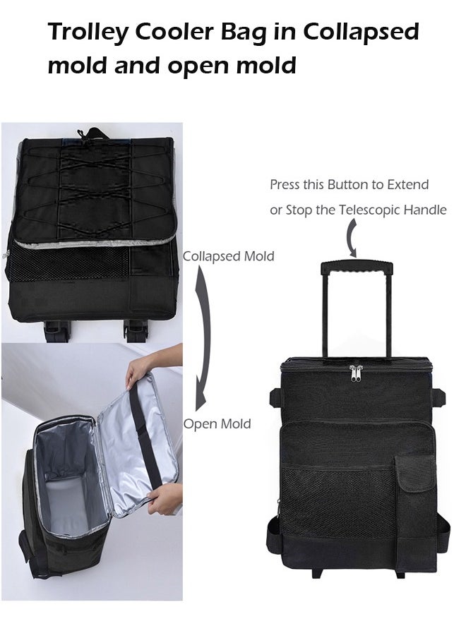 Foldable Grocery Shopping Trolley, Cooler Food Bag, Portable Hand Boot Cart Trunk, Rolling Insulated Thermal, Wheels Roller for Outdoor BBQ Beach, Camping Picnics, 43L Capacity, Black - pzsku/Z1FAC1AEC5318FA8CF23BZ/45/_/1694510687/cf8f7f9d-8b67-4817-8e16-f19e0554aa35