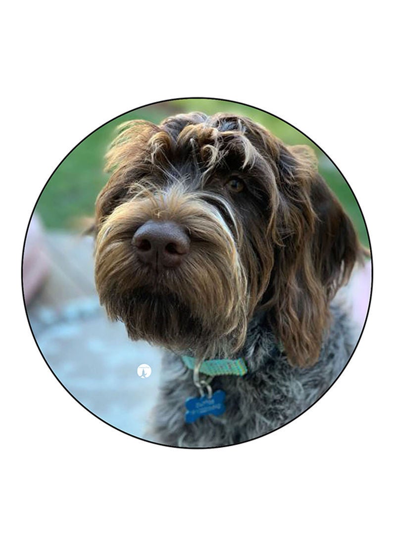RKN Dog Printed Mouse Pad Multicolour