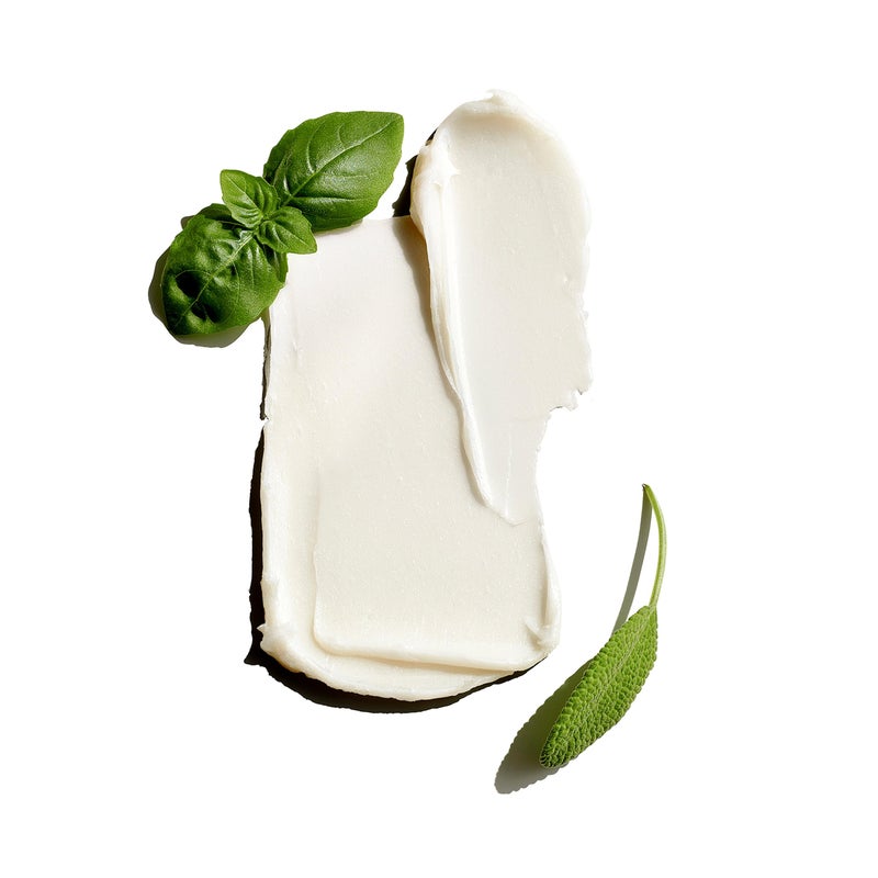 Jack Black - Clay Pomade, 2.75 oz - PureScience Formula, Hair-Sculpting, Natural-Looking Hold, Matte Finish, Buildable Control, Natural Oils, Botanical Extract, Fragrance Free - Image 2