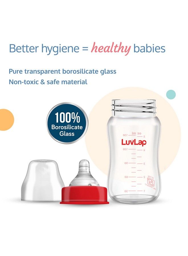 Luvlap زجاجة رضاعة ناتورا فلور ذات عنق عريض للأطفال حديثي الولادة والرضع والأطفال الصغار حتى سن 3 سنوات، خالية من مادة BPA، ذات شكل مريح يسهل حملها مع حلمة مضادة للمغص، عبوة من قطعتين، 150 مل - Image 3