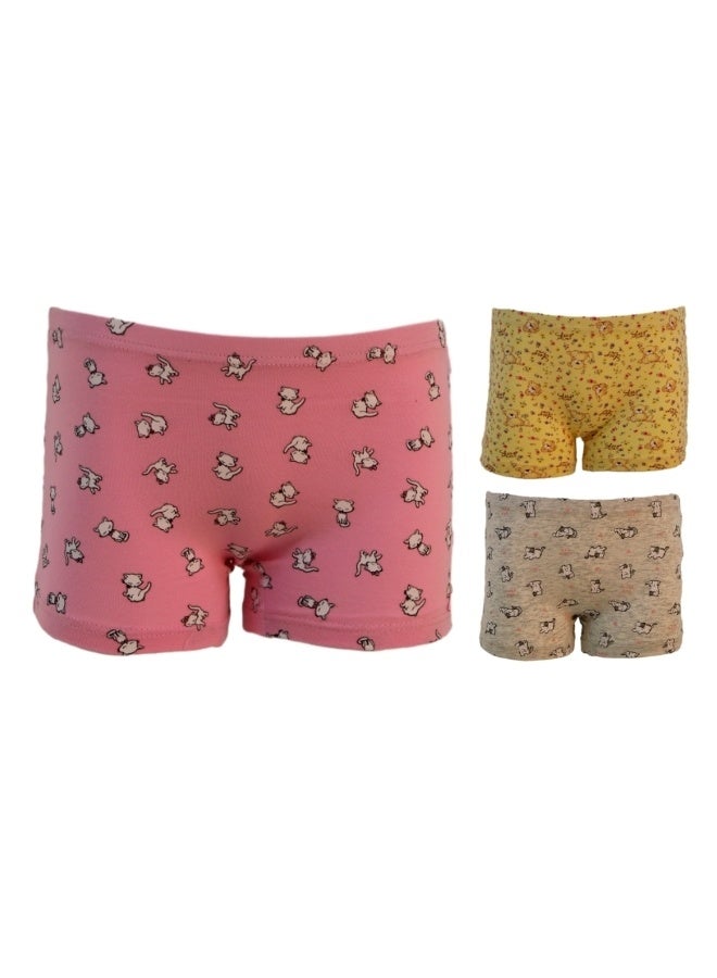 870159 Girl's Animal Print Design Boyshort 3-Pack Underwear, Multicolor