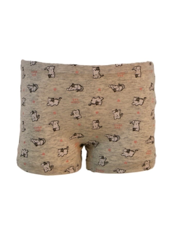 870159 Girl's Animal Print Design Boyshort 3-Pack Underwear, Multicolor