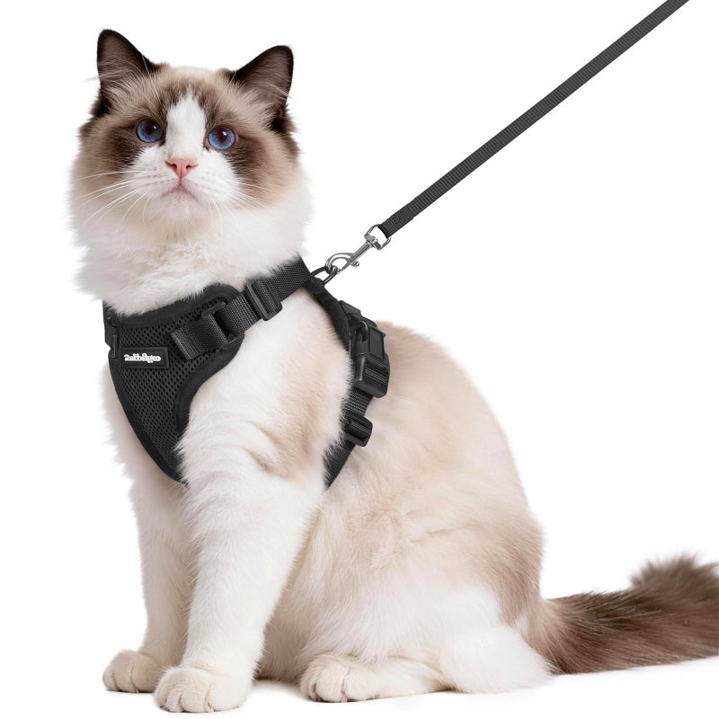 rabbitgoo cat Harness and Leash for Walking, Escape Proof Soft Adjustable Vest Harnesses for Cats, Easy Control Breathable Reflective Strips Jacket, Black, M - Image 1