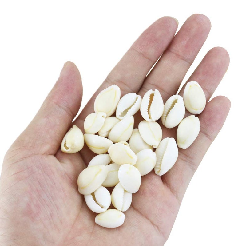 Weoxpr 200 Pcs Natural White Cowrie Shells Bulk - 16-18mm No Holes Whole Seashells for Jewelry Making, Wedding Decor, Crafts, Beach Party Supplies (Small Cowrie Shell Beads, DIY Accessories) - Image 4
