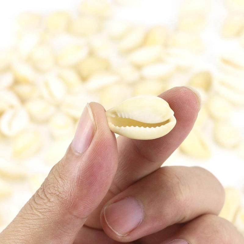 Weoxpr 200 Pcs Natural White Cowrie Shells Bulk - 16-18mm No Holes Whole Seashells for Jewelry Making, Wedding Decor, Crafts, Beach Party Supplies (Small Cowrie Shell Beads, DIY Accessories) - Image 3