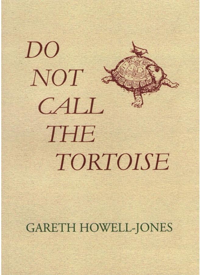 Do Not Call the Tortoise