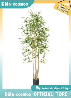 Bamboo Tree