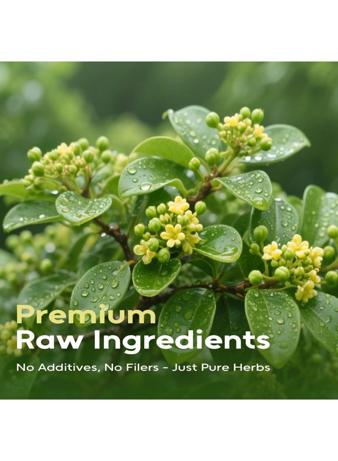 FullChea شاي أوراق الجمنيم، 85 كيس شاي، شاي جمنيم متميز - غير معدل وراثيًا - خالي من الكافيين - غني بمضادات الأكسدة ويدعم الهضم - Image 3