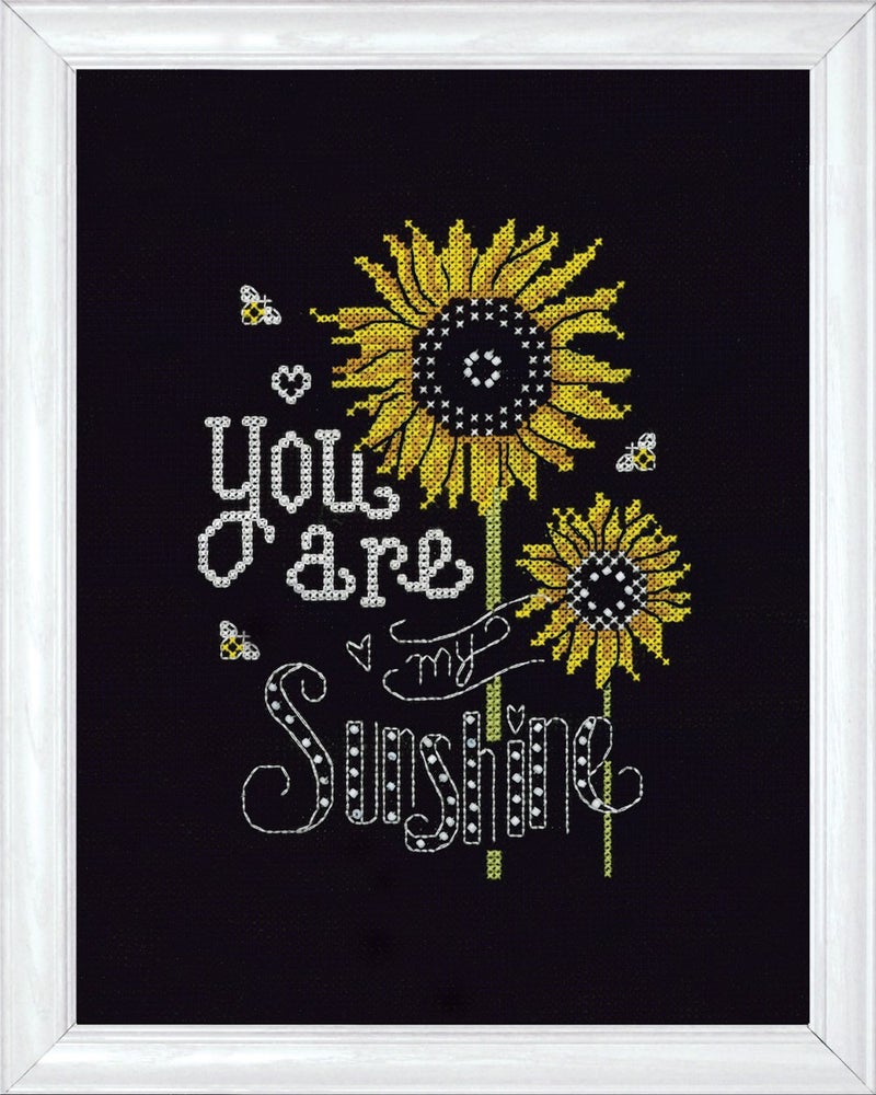 Design Works Crafts 2889 Sunshine Chalkboard Counted Cross Stitch Kit 8 by 10