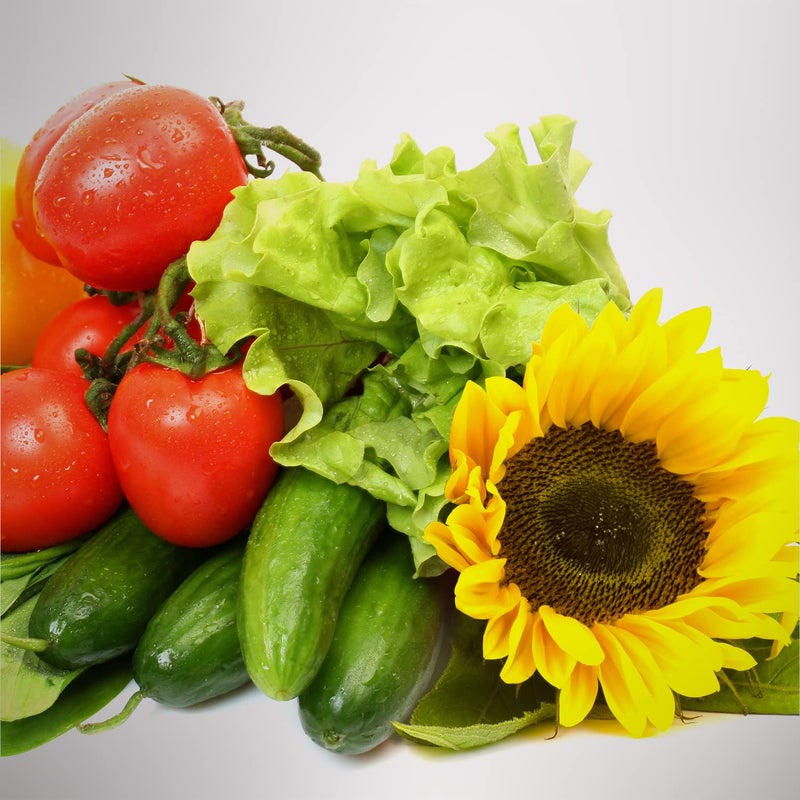 AeroGarden Grow Anything Seed Pod Kit for AeroGarden Hydroponic Indoor Garden, 3-Pod - Image 3