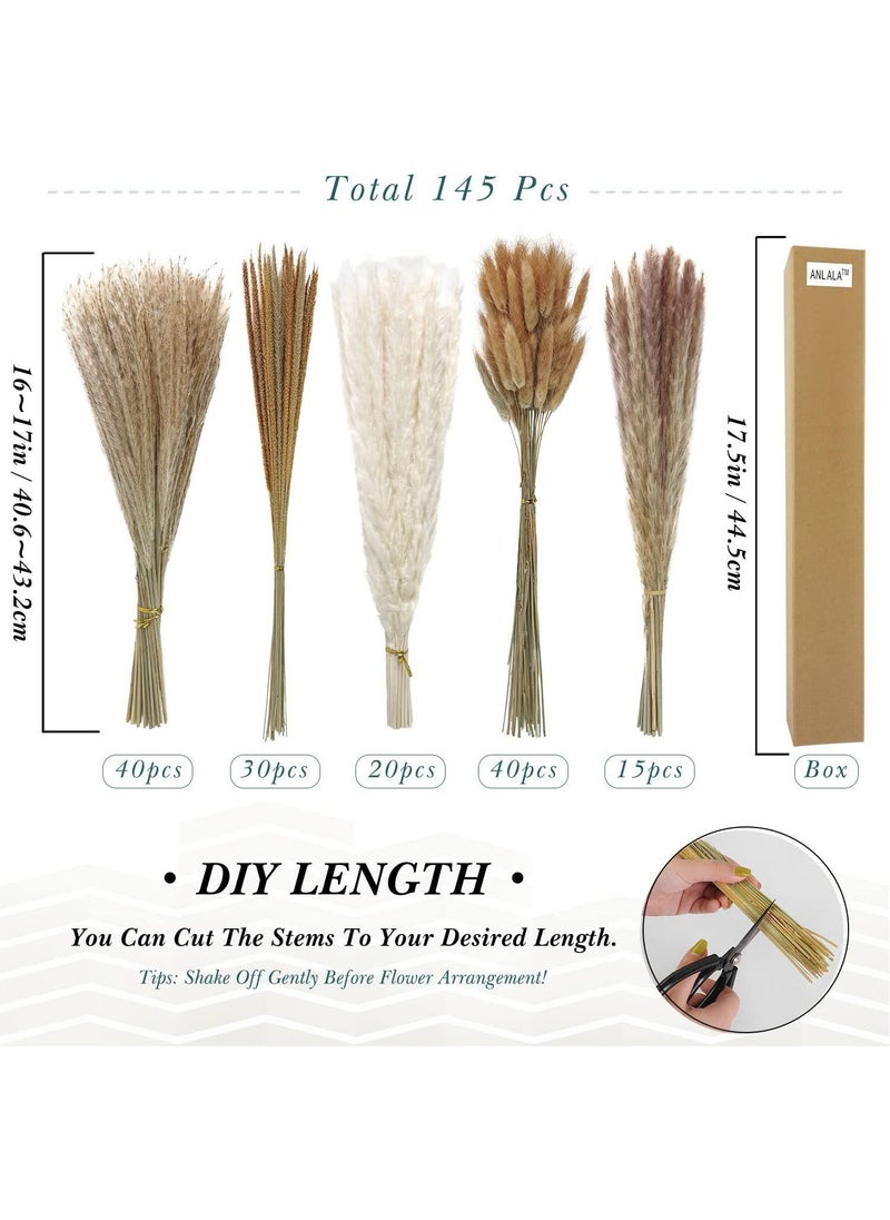 Generic 145 Pcs Dried Pampas Grass Dried Flowers Of Small Reeds Boho Natural Flowers Arrangements White Reed Bunny Tails for Home Decor Flower Living Room Balcony Wedding Party 