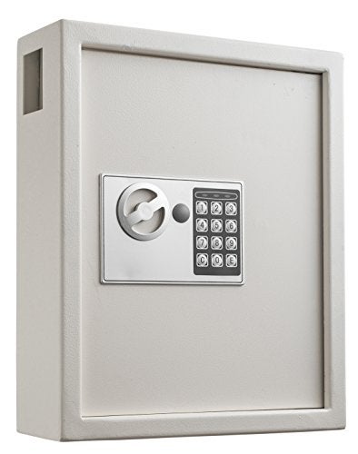 Adiroffice Key Holder Wall Mount - 40-keys Lock Box with Code, Key Cabinet Wall Mount, Valet Parking Key Box, Car Dealer Key Cabinet - Space Saving Locking Key Box Wall Mount with Digital Lock - Image 1
