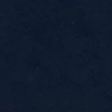 American Eagle AE Logo Graphic T-Shirt