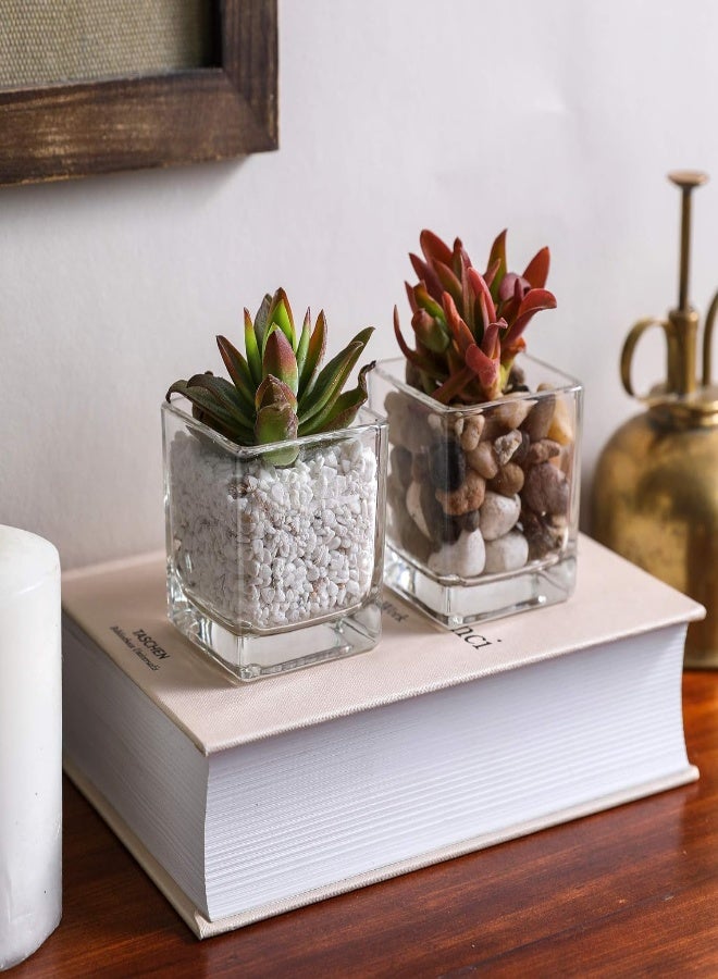 AKDC Square Glass Cube Vase And Candle Holder 2.5" Set Of 6 (6Pcs Pack, 2.5 Inch) - Image 5