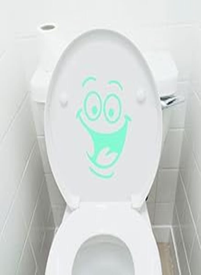 PAYA Smile Fluorescent Toilet Stickers