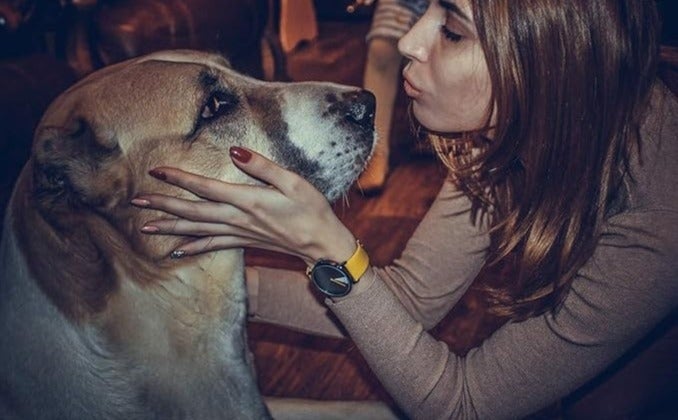 شينجكي SHENGKE ساعة إبداعية سوار فائق الرقة أزياء عصرية كوارتز مينيمالية - Image 3