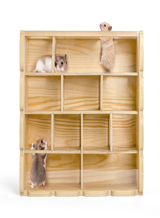 ZENFUN Wooden Hamster Maze with Clear Acrylic Cover, Multi-Chamber Hamsters Hide Tunnel Cage, Hideout Tunnel Toy Shed and Explore Toy for Dwarf Hamsters Mice Small Gerbil（Free-Installation） - Image 3