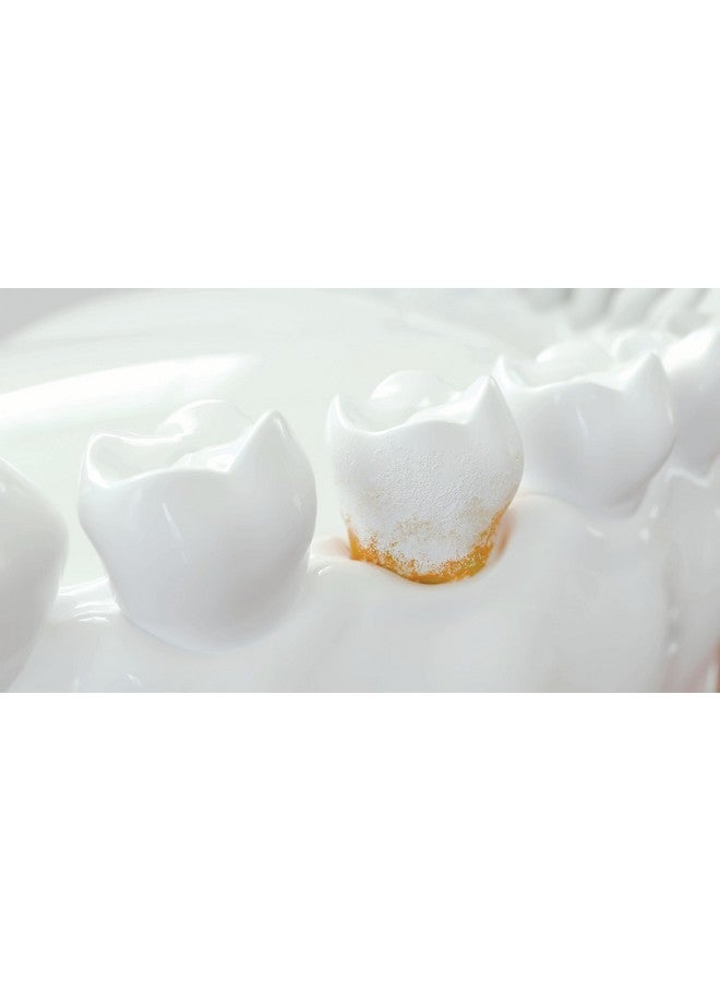 Periogen Oral Rinse (Hint Of Mint) 2 Pk The Only Product In The World Clinically Proven To Reduce Dental Tartar Buidup For Healthier Teeth & Gums - Image 4