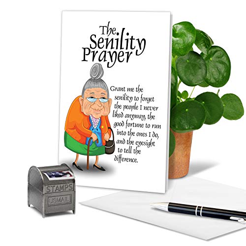 NobleWorks - Funny Happy Birthday Note Card with Envelope (4.63 x 6.75 Inch) - Bday Greeting Card for Women, Her, Sister Bday Celebration Notecard - Senility Prayer 9046 - Image 3