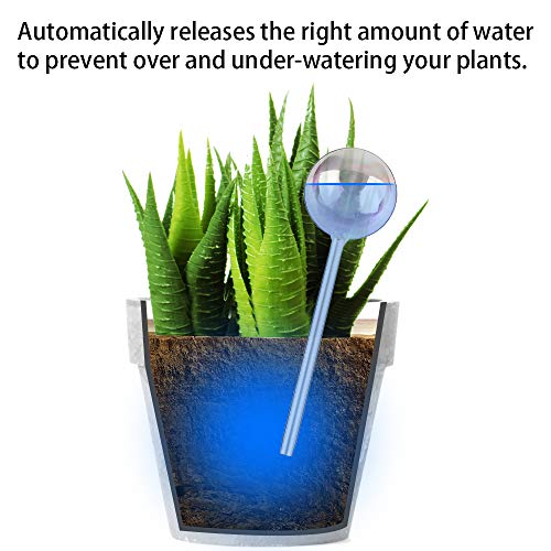 Tomorotec [2 PCS] Light Iridescent Rainbow Gradient Color Clear Glass Self-Watering System Spikes, Automatic Plant Waterer Bulbs - Image 3