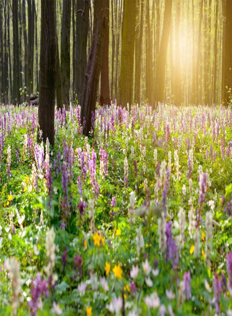 جي جوت بذور مزيج زهور البرية، مزيج ظلال الزهور البرية - 10 جرام - زهور فقط!