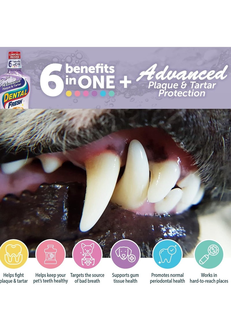 SynergyLabs Dental Fresh Water Additive - Original Formula for Dogs - (17 oz)  - Image 3