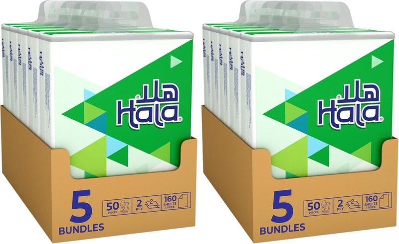 Facial Tissues Pack of 100 of 2 Ply x 160 Sheets, tissue with Soft Feel, Good for All Skin Types and Sterilized for Germ Protection