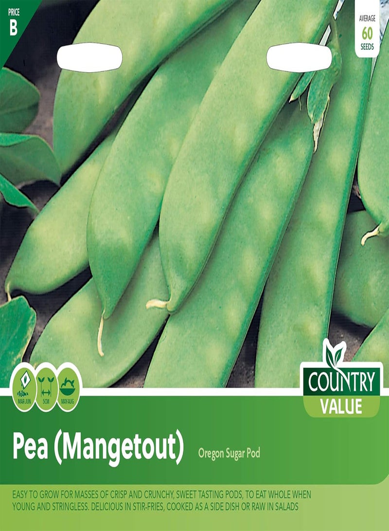 GGOOT PEA (Mangetout) Oregon Sugar Pod Seeds