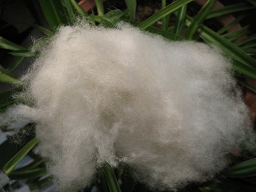 iMongol- Carded Lambs Wool Stuffing Batting for Needle Felting, Knitted Toys, Crafts, Bright Creations, Pillow Filler, Stuffed Animals, Cushions,Super Clean Fine, Natural White(1oz, Combed Wool) - Image 5