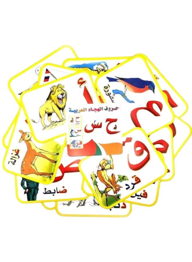 1 set of 28 Arabic animal illustration letter learning cards - Image 4