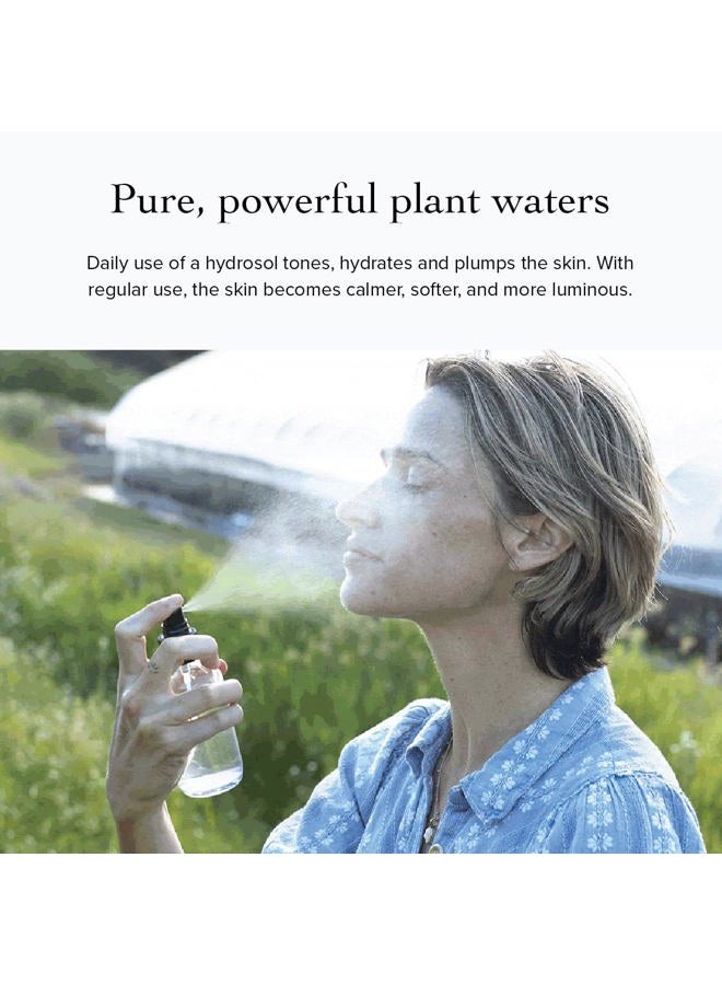 evanhealy Lavender Facial Tonic 120ml liquid by Evan Healy - Image 4