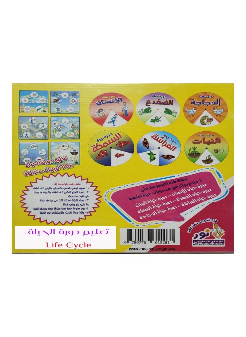 Toys Life Cycle  - Image 2