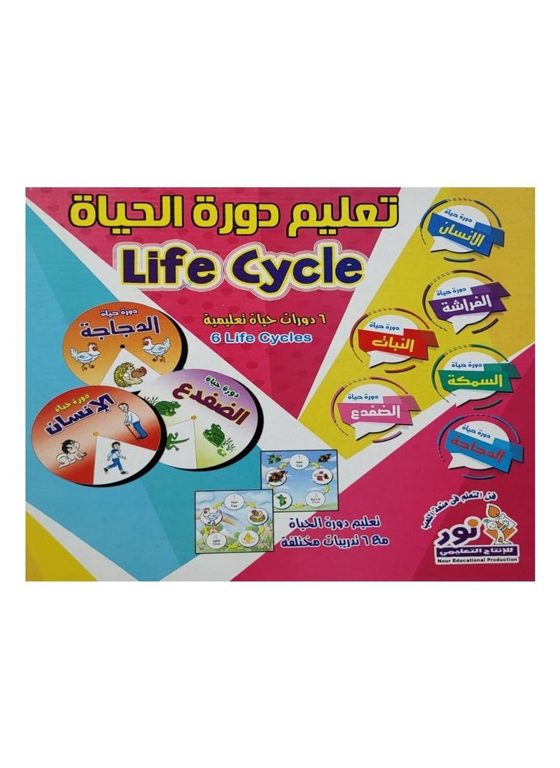 Toys Life Cycle  - Image 1
