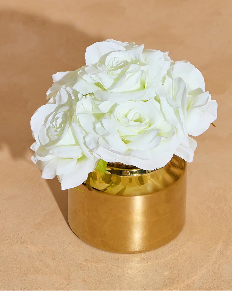 REDTAG Artificial Roses In Ceramic Vase
