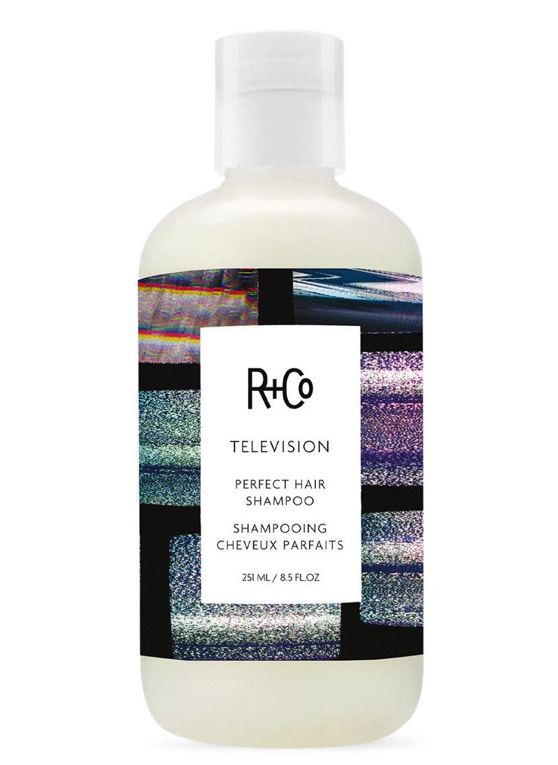 R+CO Television Perfect Hair Shampoo 8.5 fl oz - pzsku/Z1FC15A9AA7ECFE5E9385Z/45/_/1738415970/03f4db1a-518b-4456-a1cf-f127f3b6076e