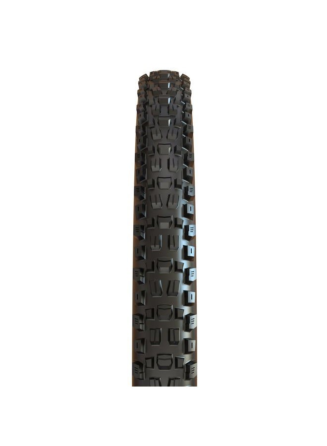 Maxxis إطار أسجاي 29 × 2.50 WT 60 TPI قابل للطي 3C ماكس تيرا EXO/TR 29 × 2.5 بوصة، أسود، TB00163000 - Image 2